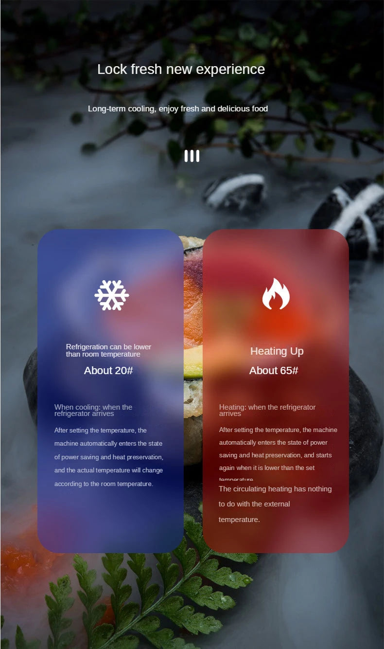 Mini Frigo 10L Portatile – Frigorifero per Auto, Casa e Cosmetici